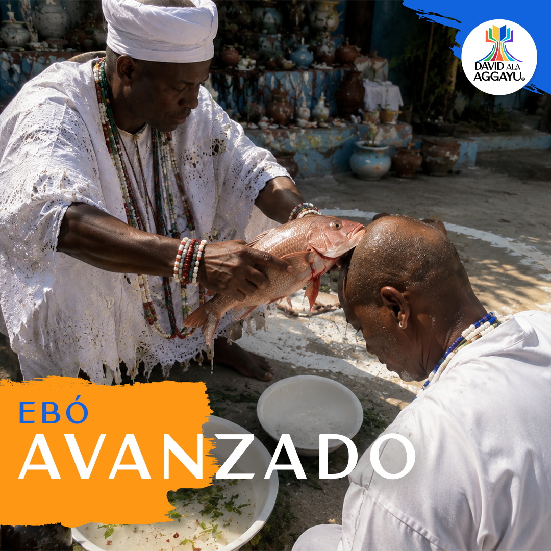 EBÓ AVANZADO
