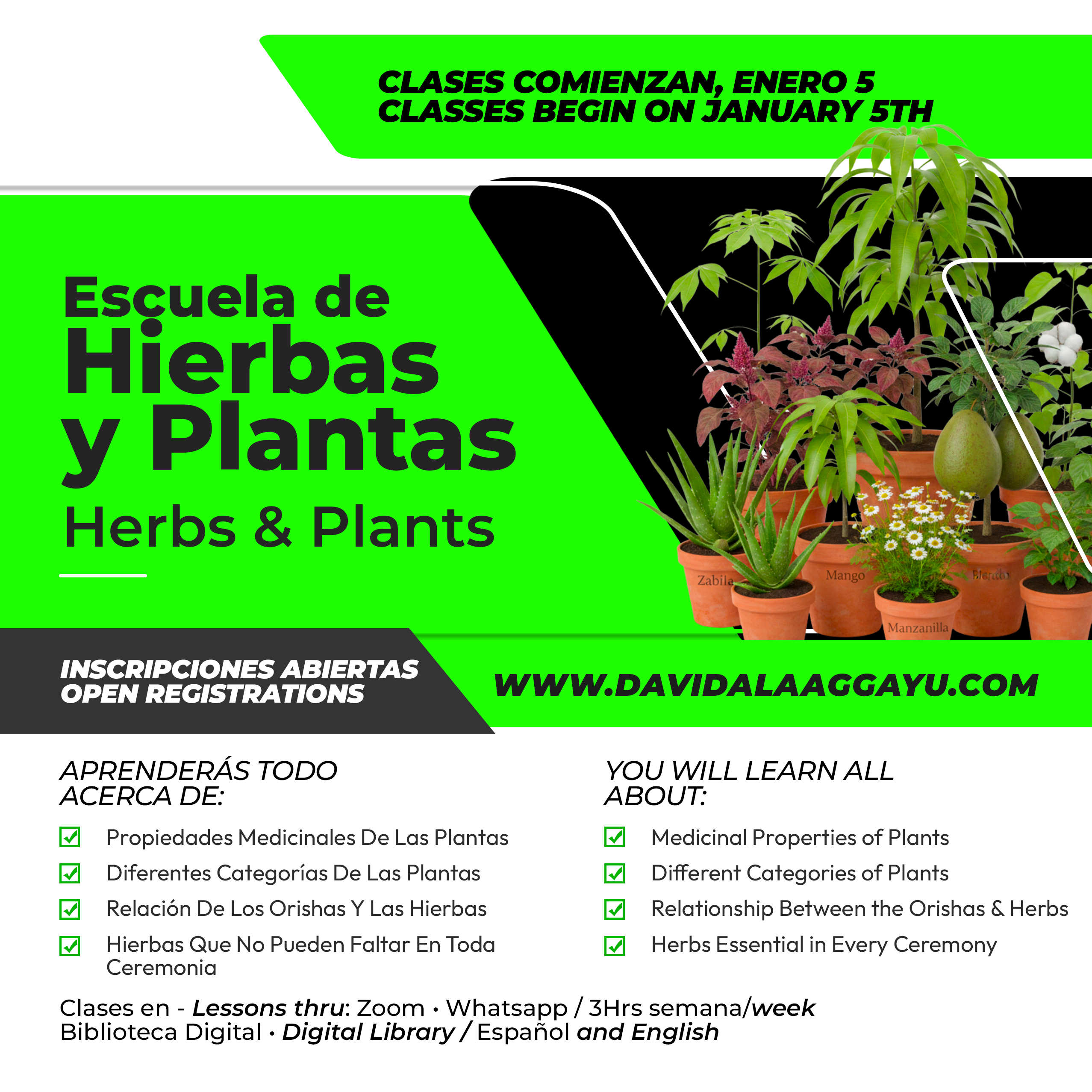 2026- ESCUELA HIERBAS PLANTAS Y PALOS 2025