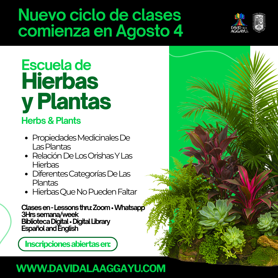 2025 - ESCUELA HIERBAS PLANTAS Y PALOS 2025