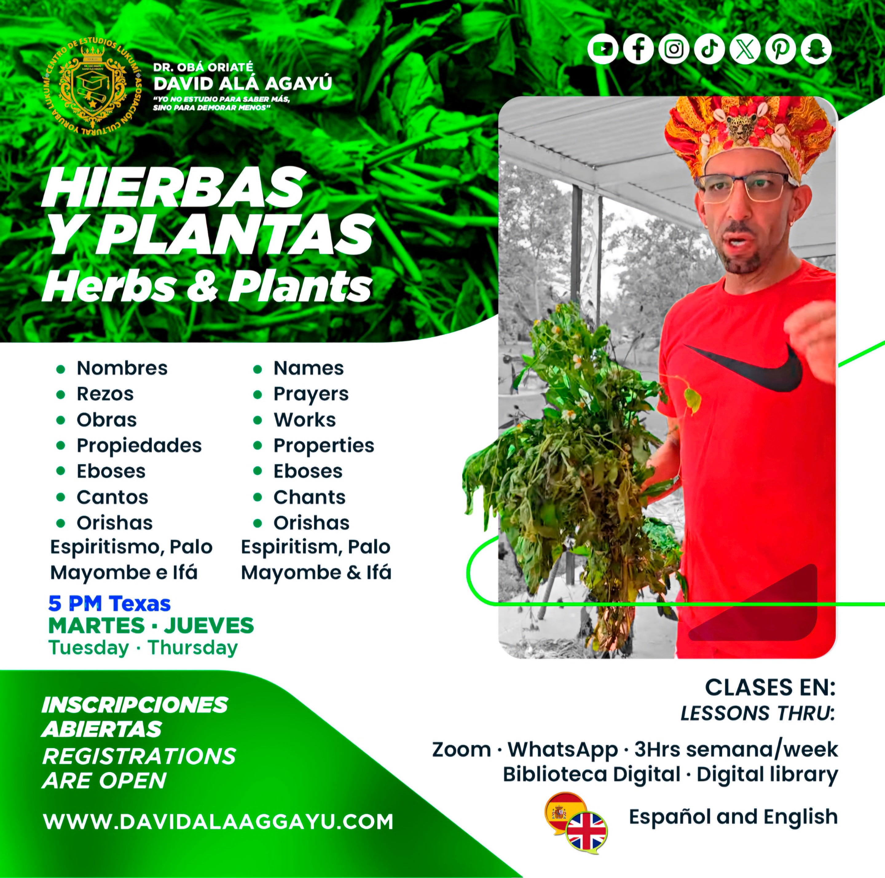 ESCUELA HIERBAS PLANTAS Y PALOS