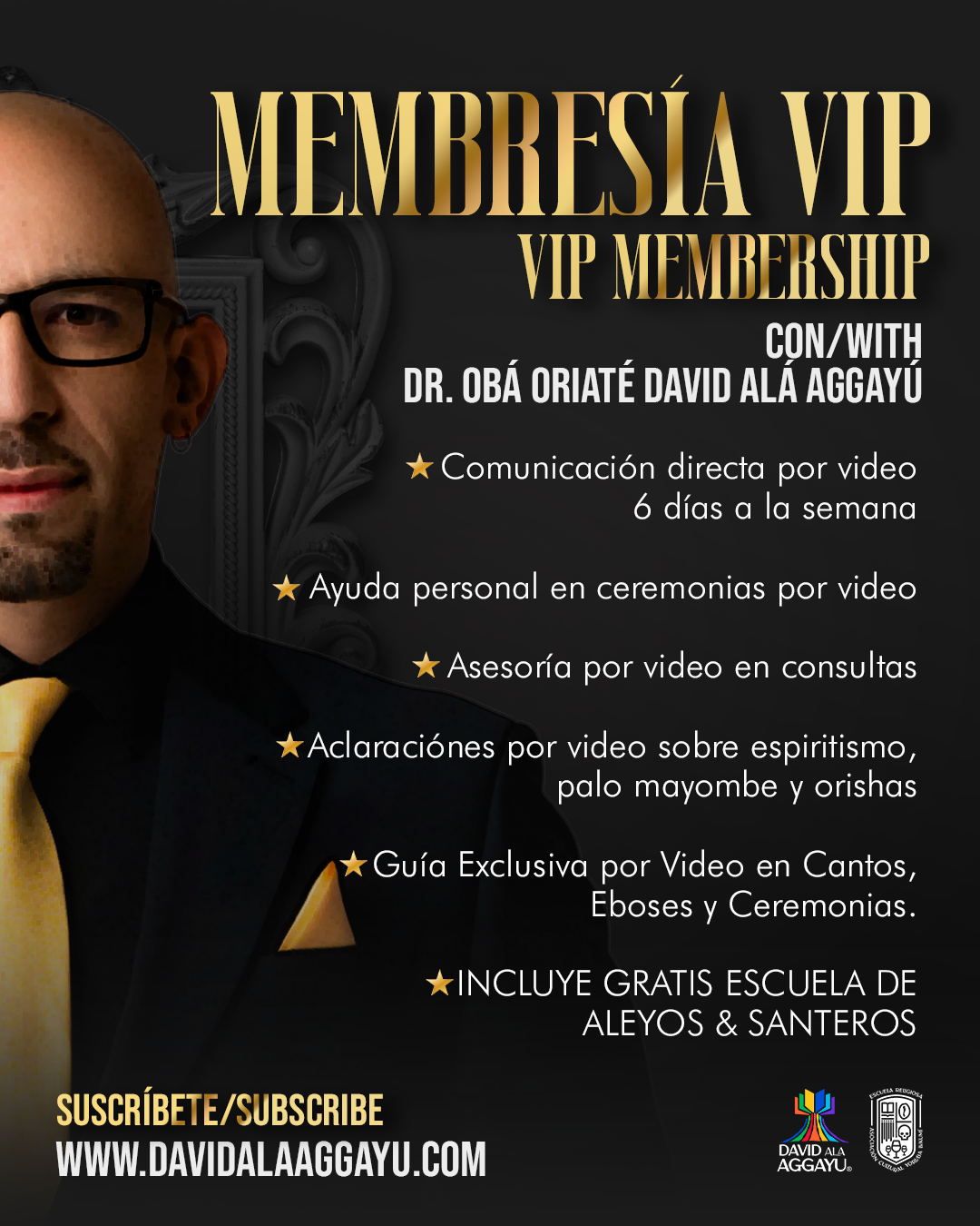 MEMBRESIA VIP/VIP MEMBER CON DAVID ALÁ AGGAYÚ - ESTO NO ES UNA CONSULTA