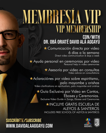 MEMBRESIA VIP/VIP MEMBER CON DAVID ALÁ AGGAYÚ - ESTO NO ES UNA CONSULTA