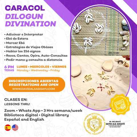 ESCUELA DE CARACOL/SCHOOL OF DILOGUN DIVINATION