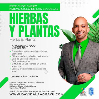 2025 - ESCUELA HIERBAS PLANTAS Y PALOS 2025 - PRE-VENTA